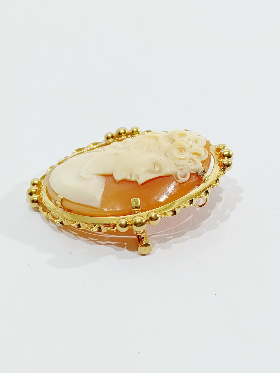 Pendentif Broche Camée Coquillage