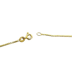 Champagne Gold Chain Necklace