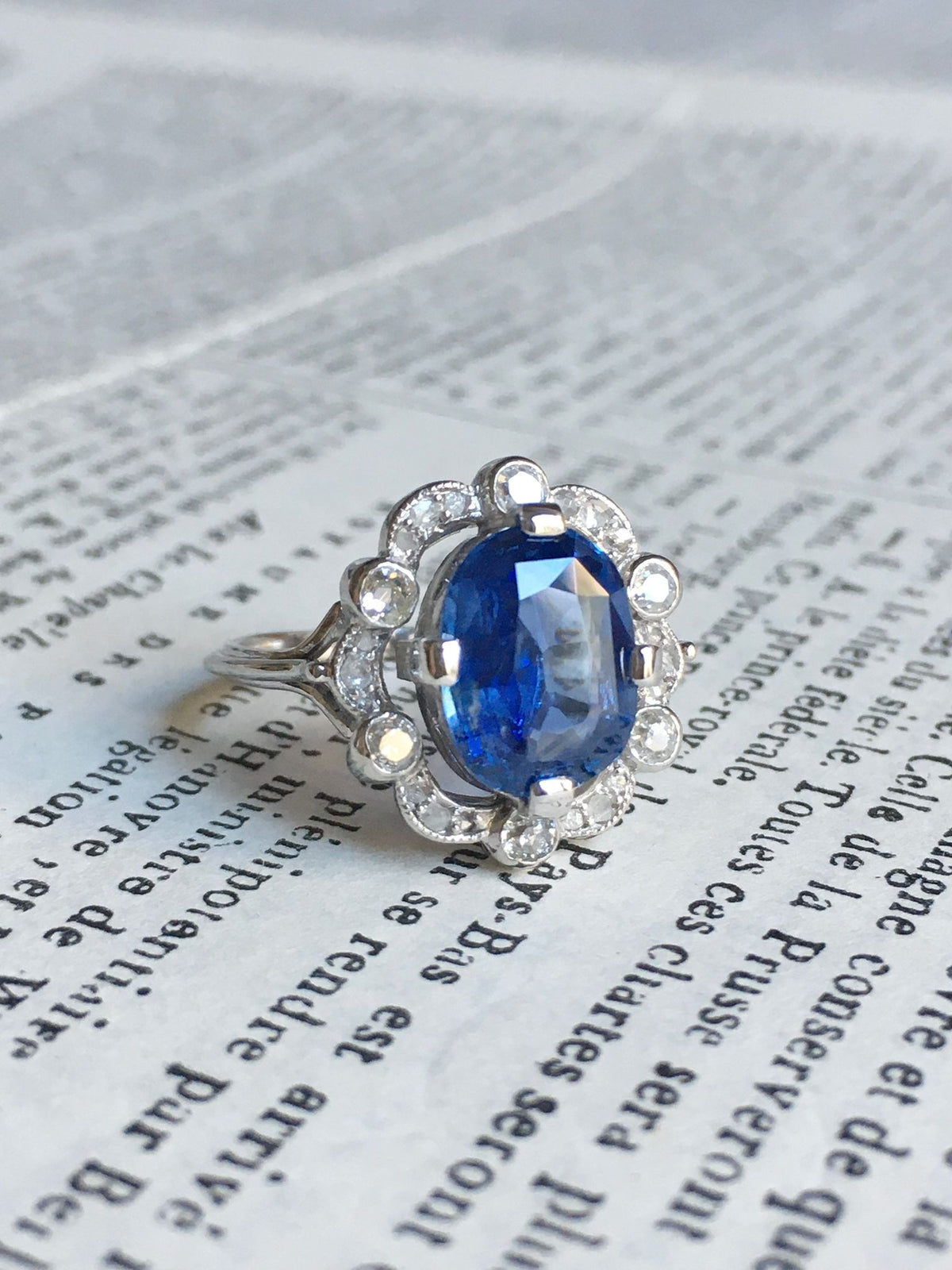 Entourage Ring in white gold, Platinum, Sapphire, and Diamonds