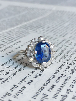 Entourage Ring in white gold, Platinum, Sapphire, and Diamonds