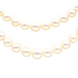 White Gold and Turquoise Pearl Necklace