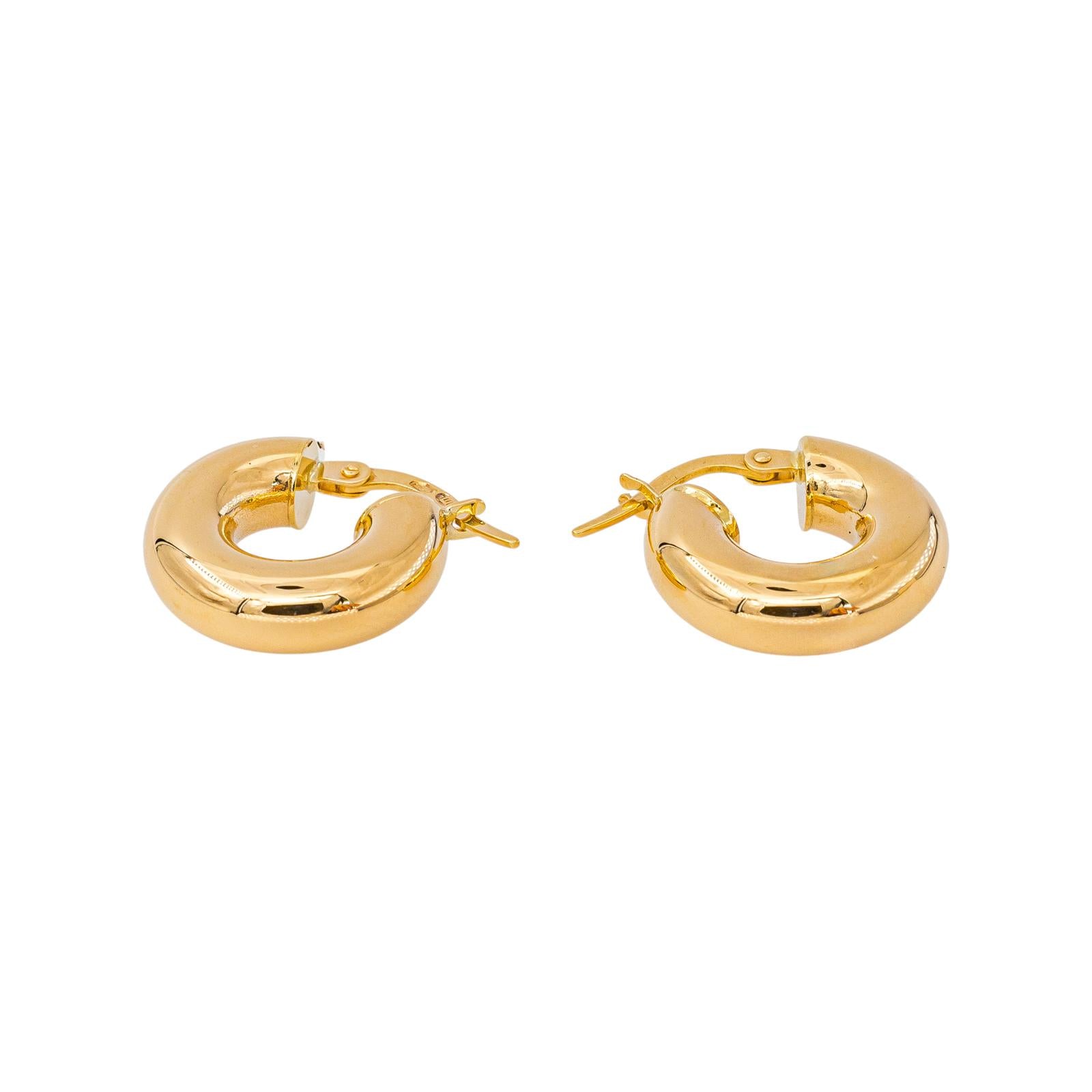 Yellow Gold Hoop Earrings