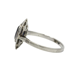 Entourage Ring in white gold, platinum, sapphire, and diamonds