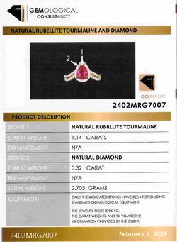 Entourage Ring in yellow gold, rubellite Tourmaline, and diamonds