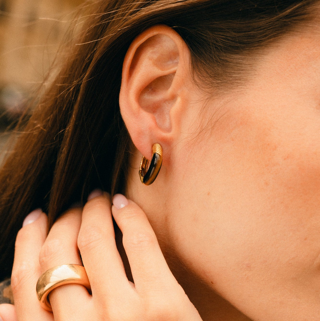 CHAUMET Hoop Earrings in Yellow Gold and Tiger's Eye