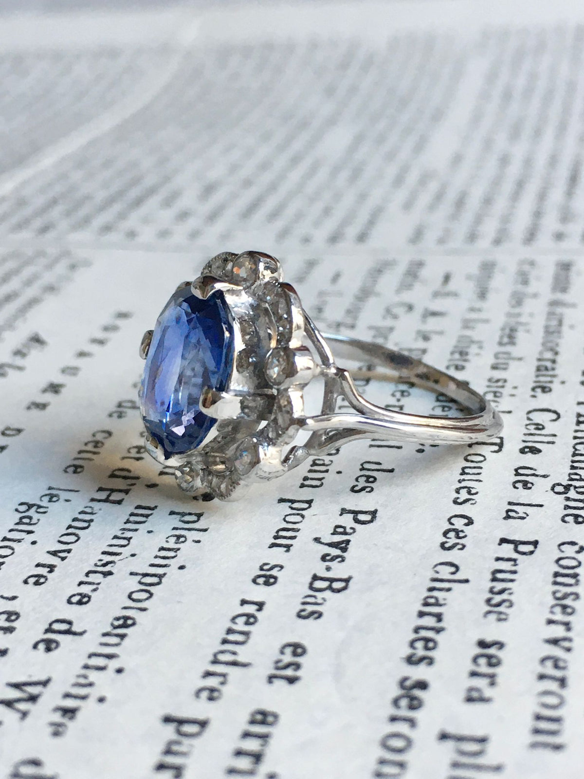 Entourage Ring in white gold, Platinum, Sapphire, and Diamonds