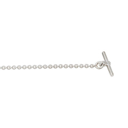 Hermès Ex-Libris Silver Forçat Link Necklace