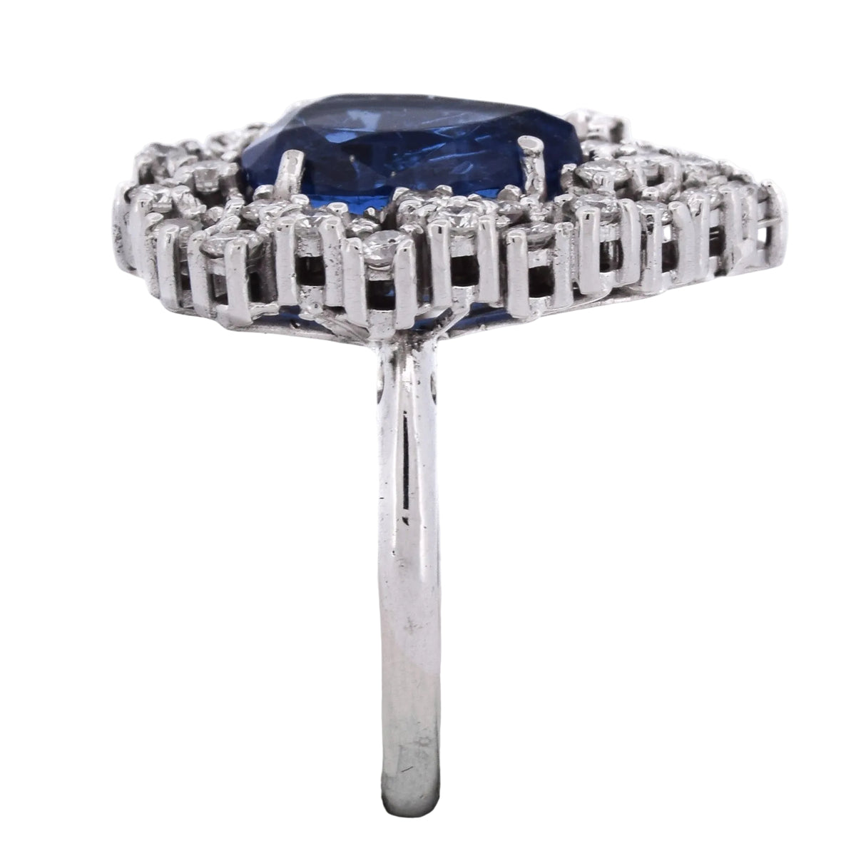 Entourage Ring in white gold, sapphire, and diamonds