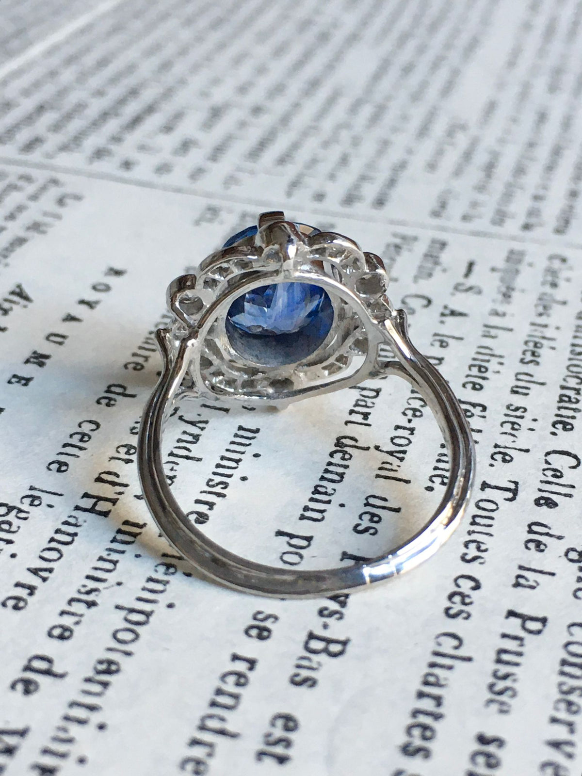 Entourage Ring in white gold, Platinum, Sapphire, and Diamonds
