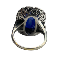 Entourage Ring in white gold, sapphire, and diamonds