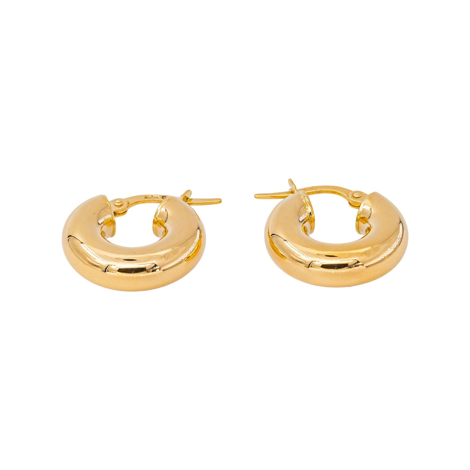 Yellow Gold Hoop Earrings