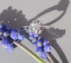 Solitaire Ring in White Gold, Platinum, and Diamond