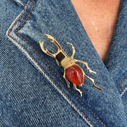 HERMÈS "Scarabée" Brooch in Yellow gold, Carnelian and Agate