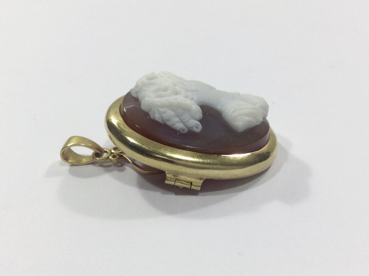 Pendentif Broche Camée Agate