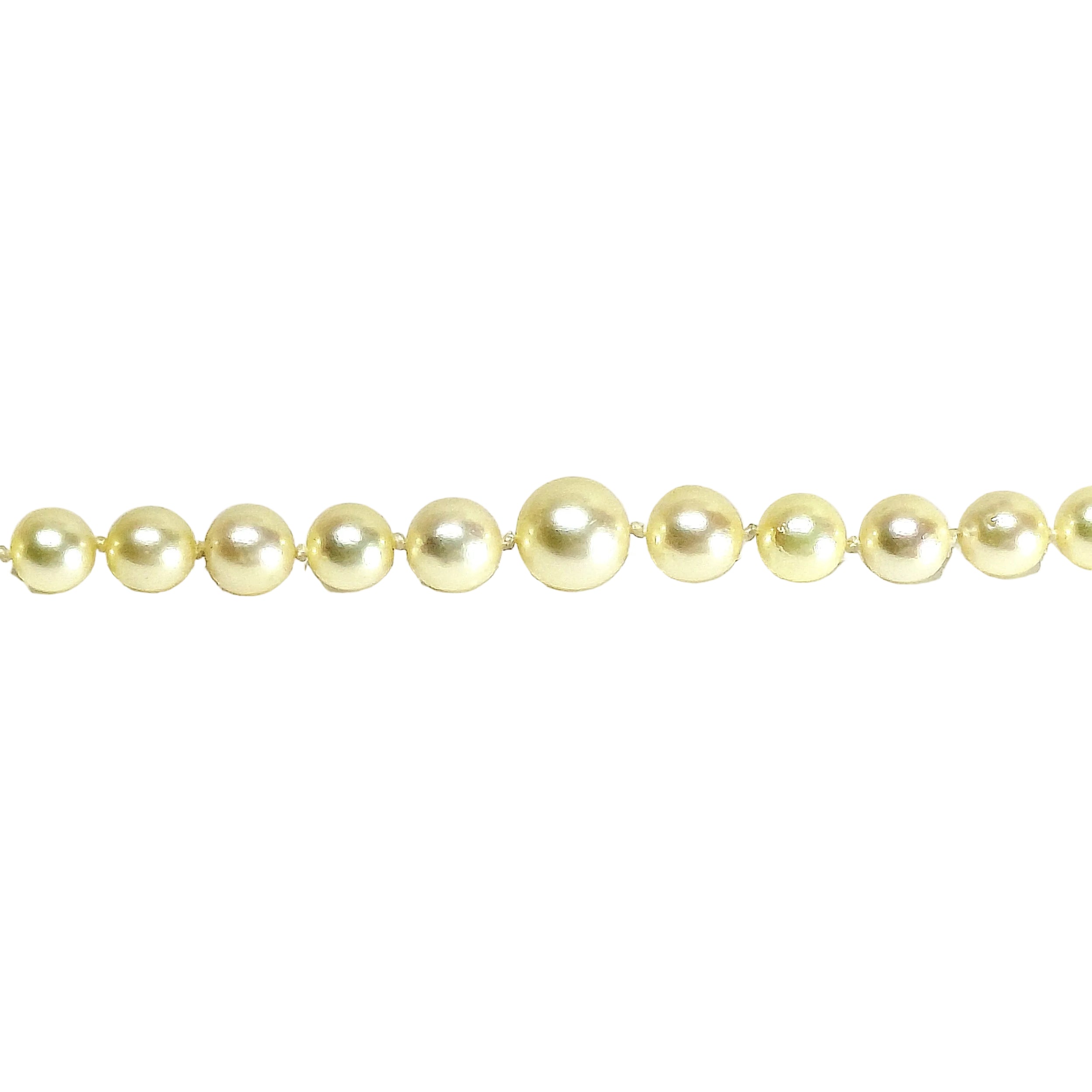 White Gold and Sapphire Pearl Necklace