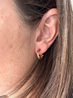 Trinity ear clips