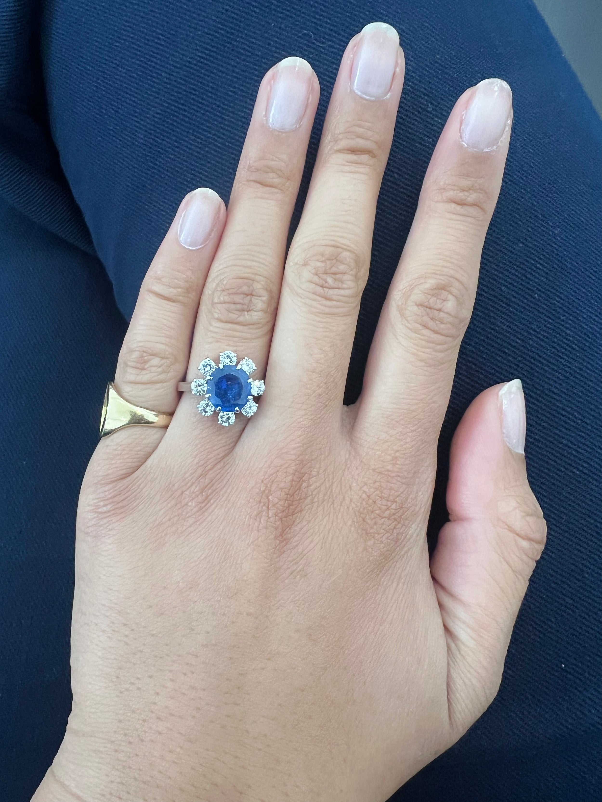 Marguerite ring in platinum, sapphire and diamonds 