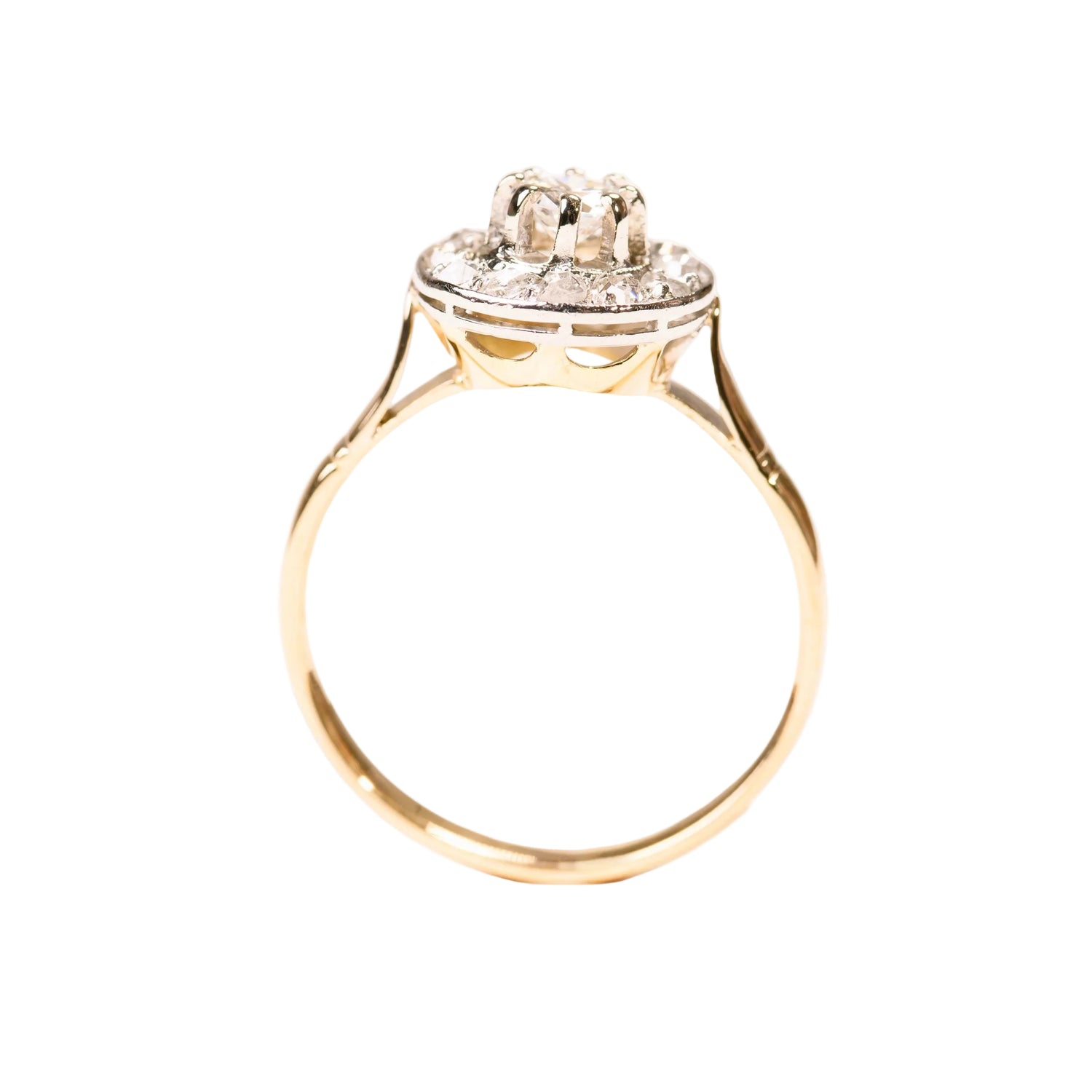 Entourage Ring in yellow gold, Platinum, and Diamonds