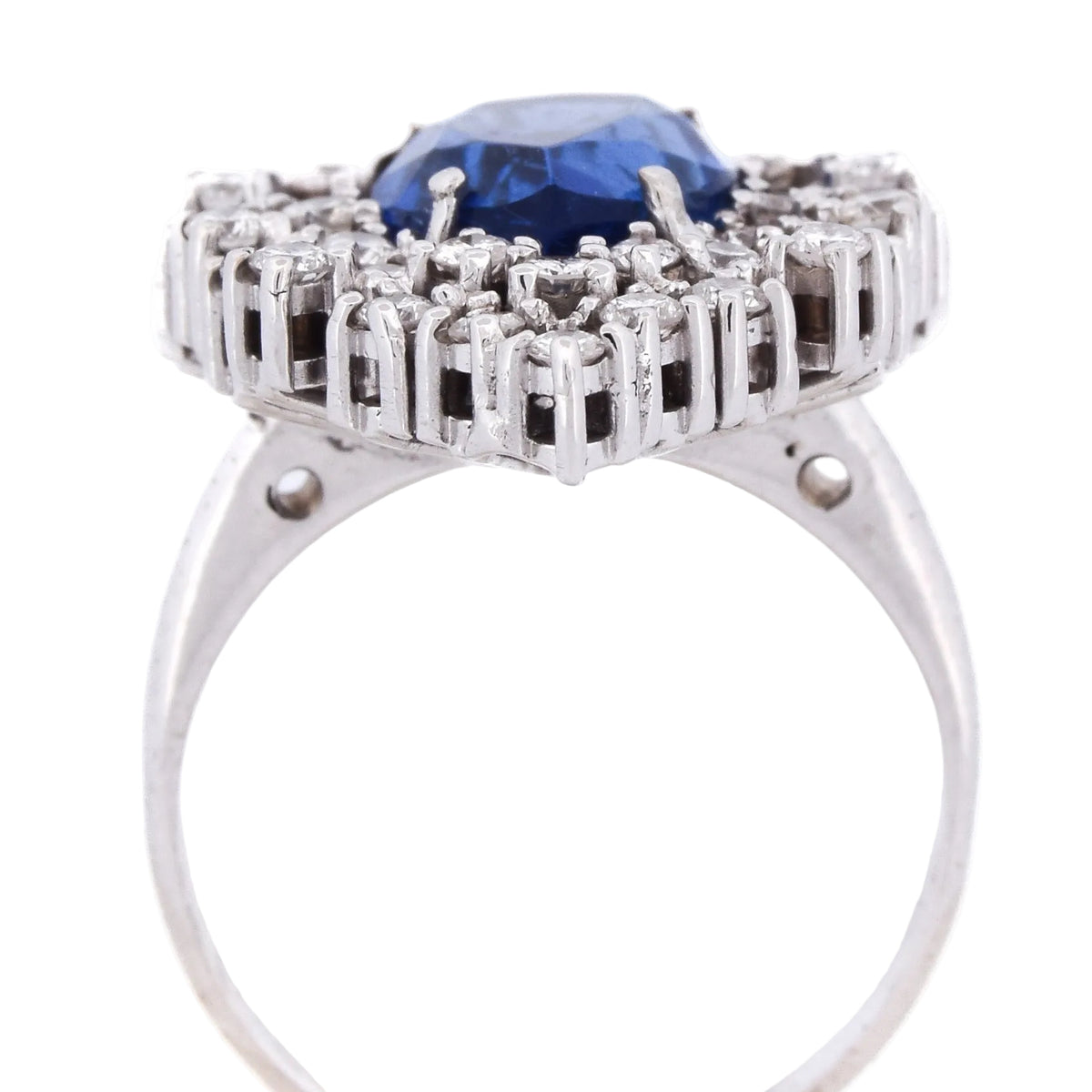 Entourage Ring in white gold, sapphire, and diamonds