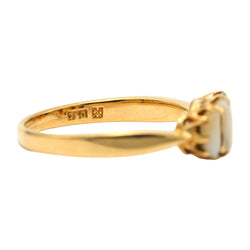 Trilogy Ring in Yellow Gold and Teeth