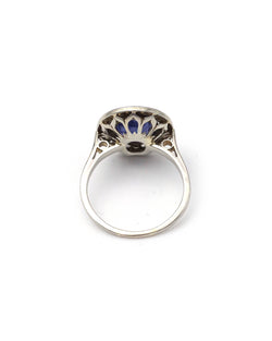 Entourage Ring in white gold, Platinum, Sapphire, and Diamonds