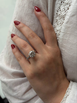White gold, Platinum and Diamond Solitaire Ring