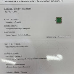 Bague Entourage en or blanc, émeraude et diamants - Castafiore