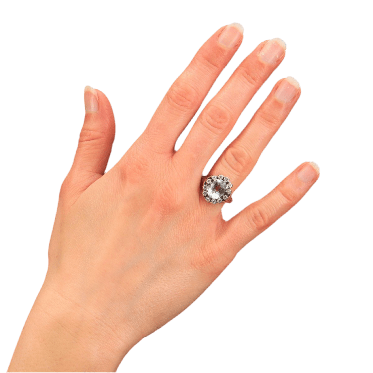 Bague Entourage en or blanc, platine, aigue - marine et diamants - Castafiore