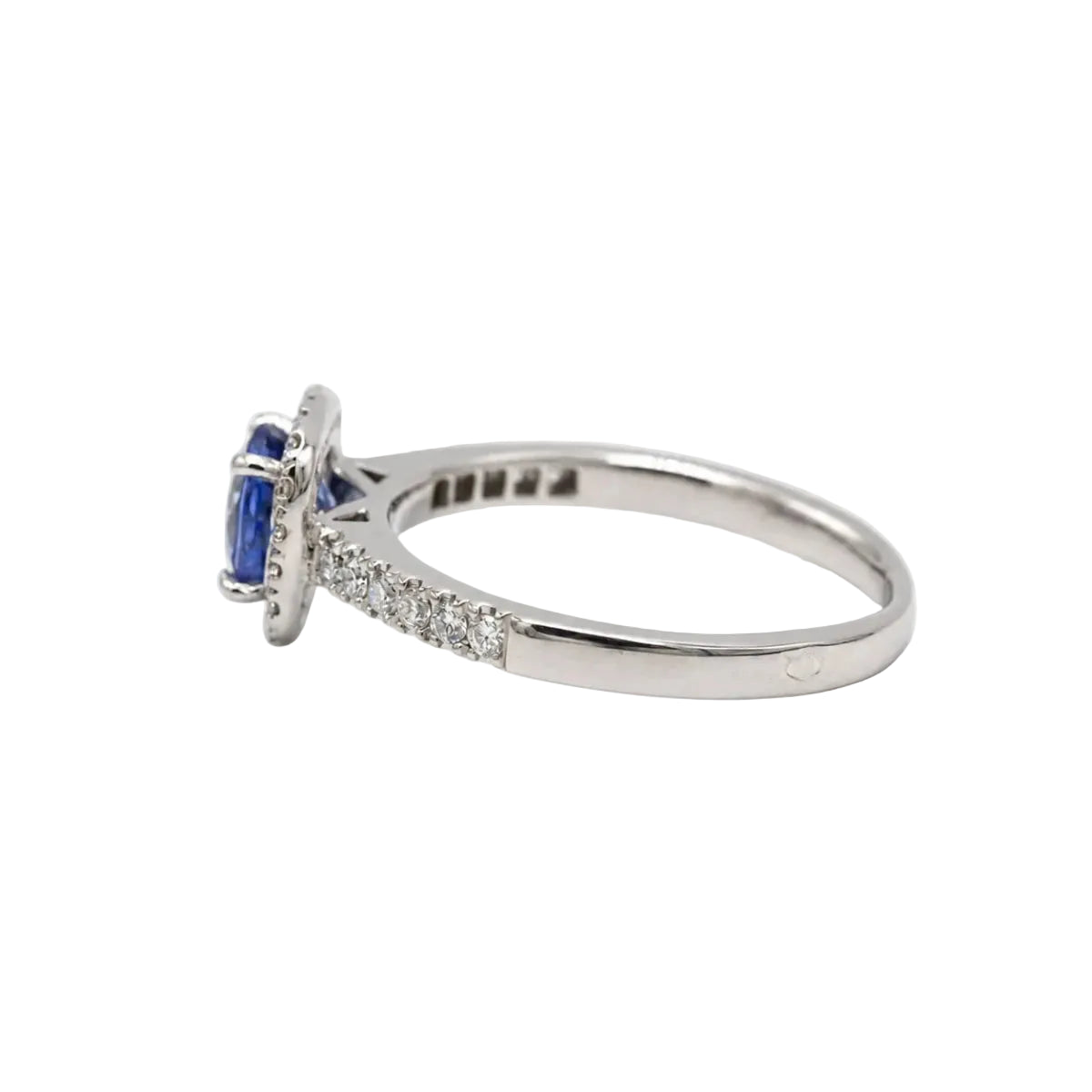 Bague Entourage en or blanc, saphir et diamants - Castafiore