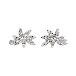 Earrings White gold diamond