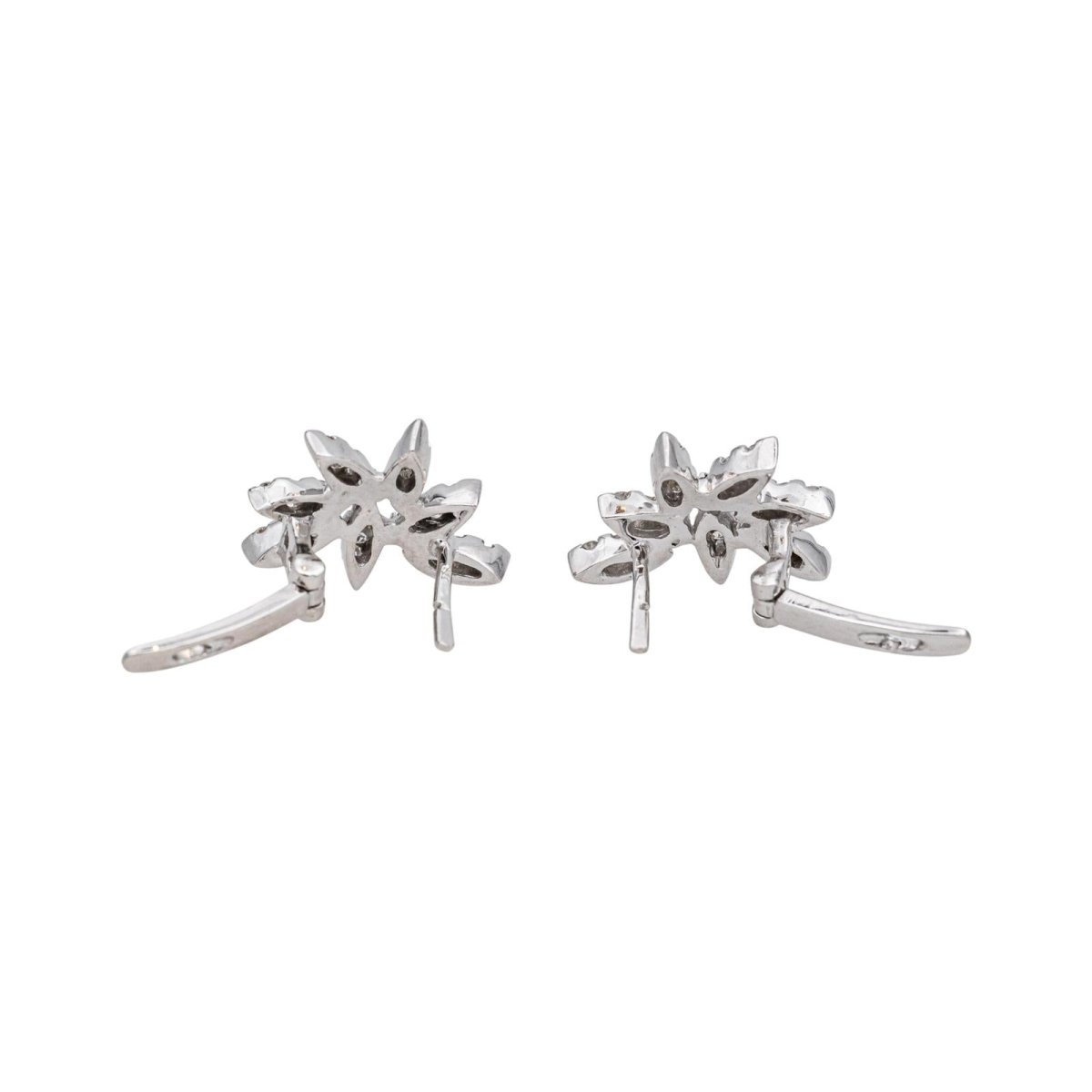 Earrings White gold diamond