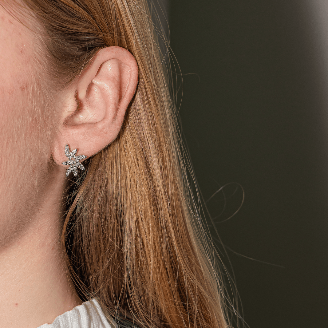 Earrings White gold diamond