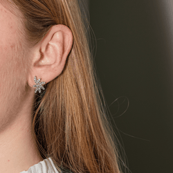 Earrings White gold diamond