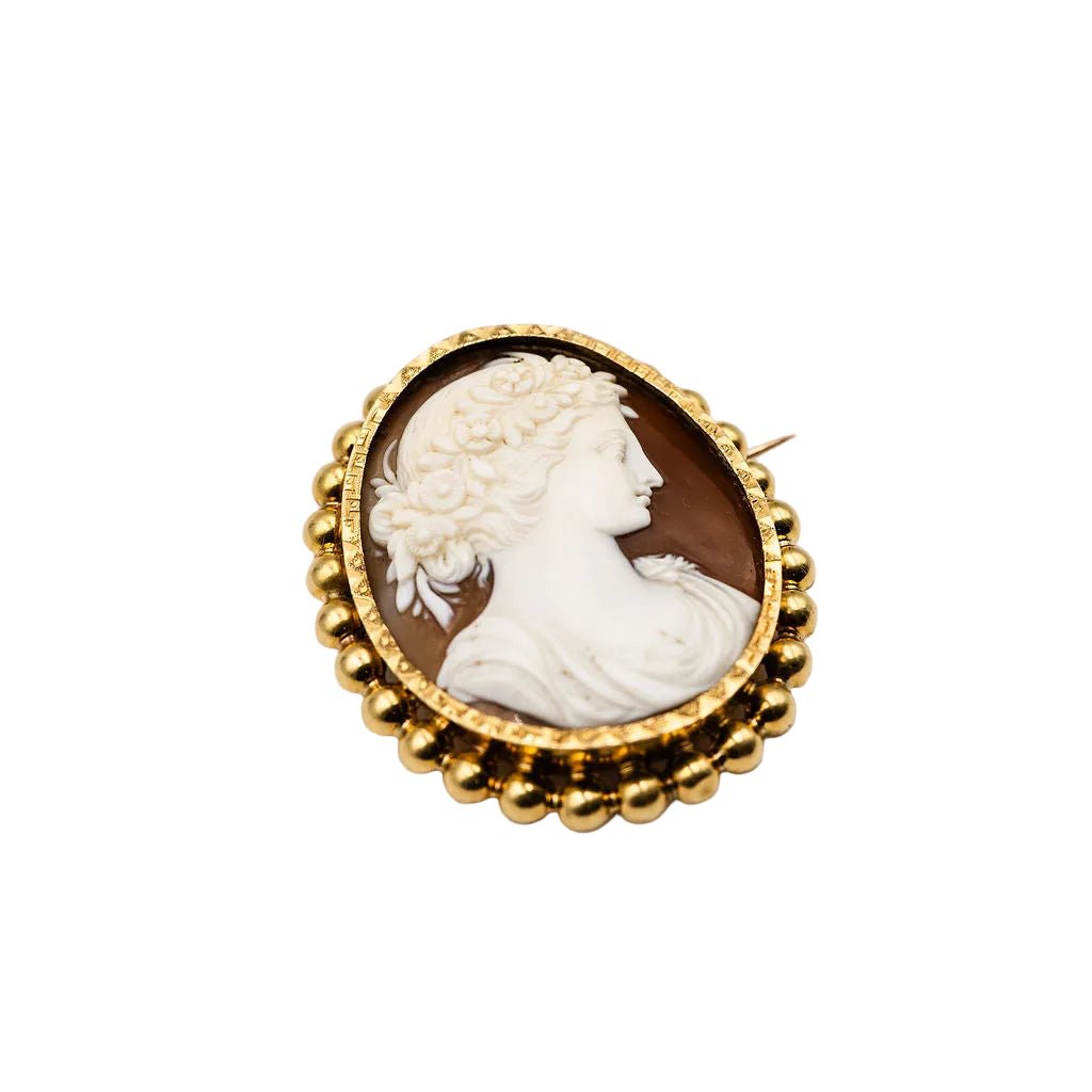 Broche Camée Coquille en or jaune - Castafiore