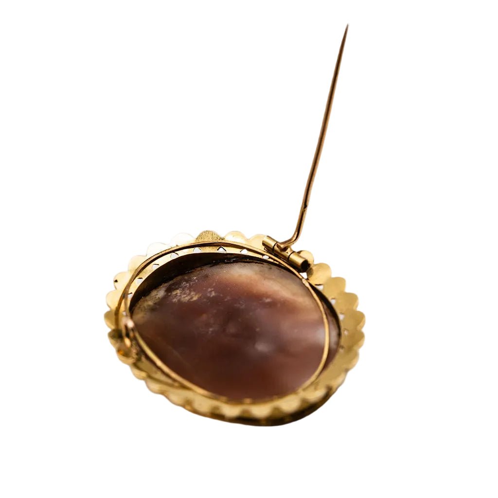 Broche Camée Coquille en or jaune - Castafiore