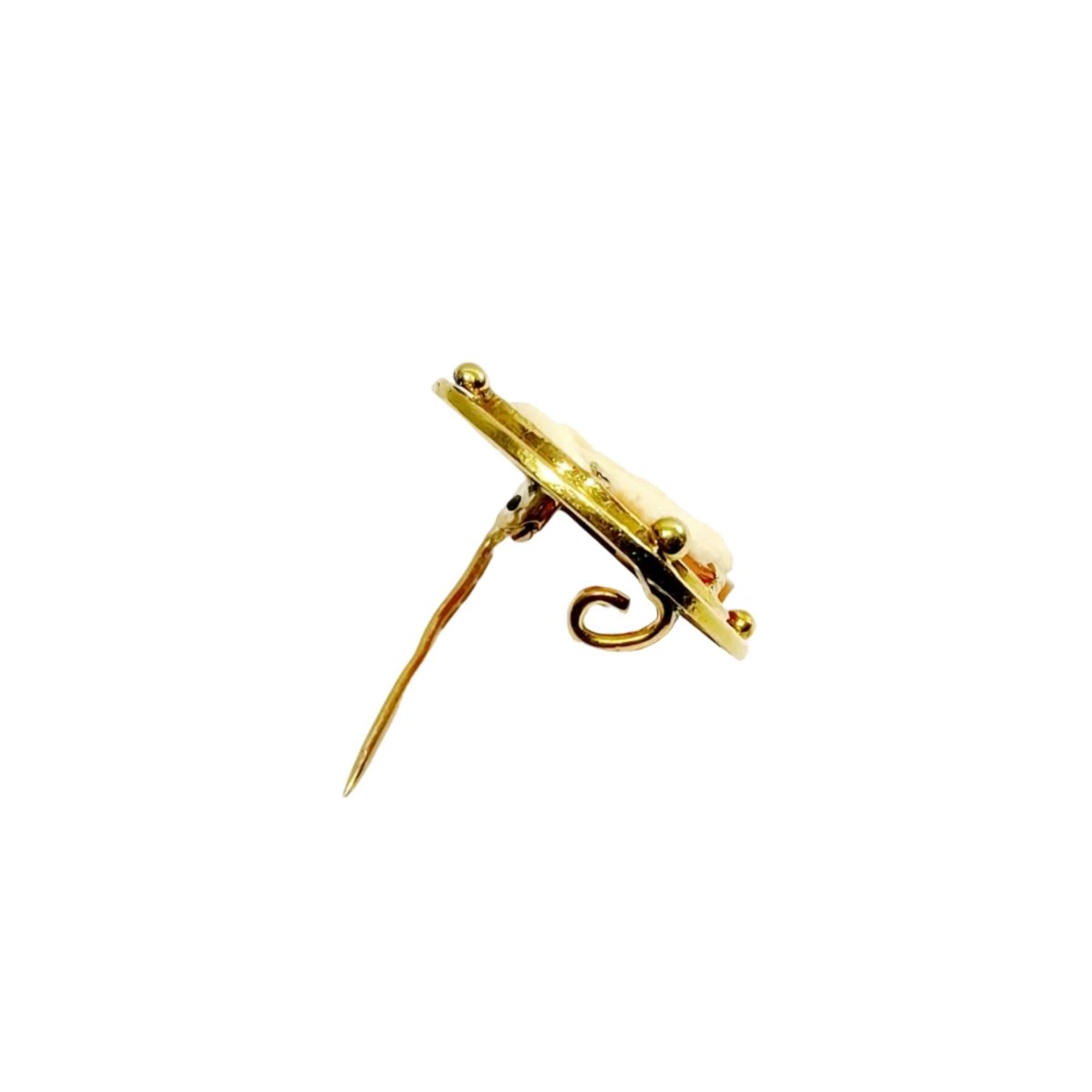 Broche Camée en or jaune - Castafiore