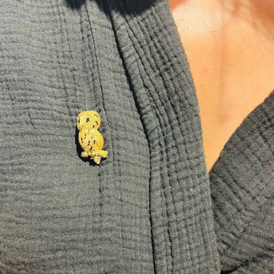 Broche Clip HERMÈS Chouette en or jaune et émail - Castafiore