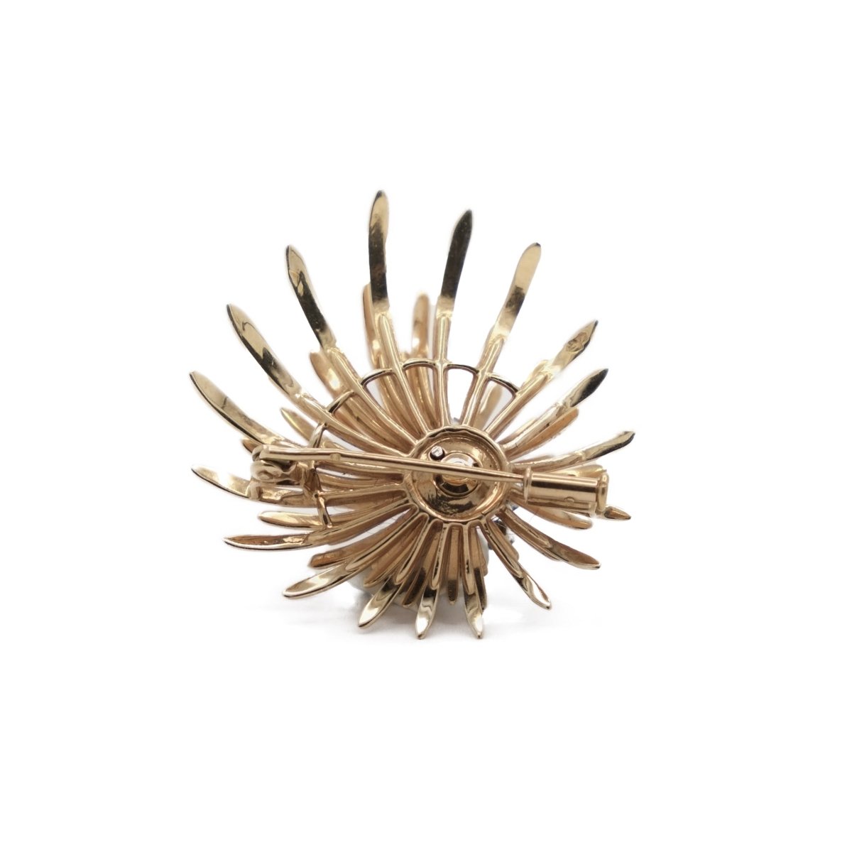 Broche Panache en or jaune et platine - Castafiore