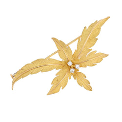 Brooch in amati gold and diamonds