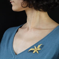 Brooch in amati gold and diamonds