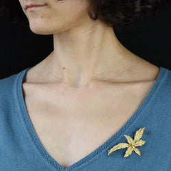 Brooch in amati gold and diamonds