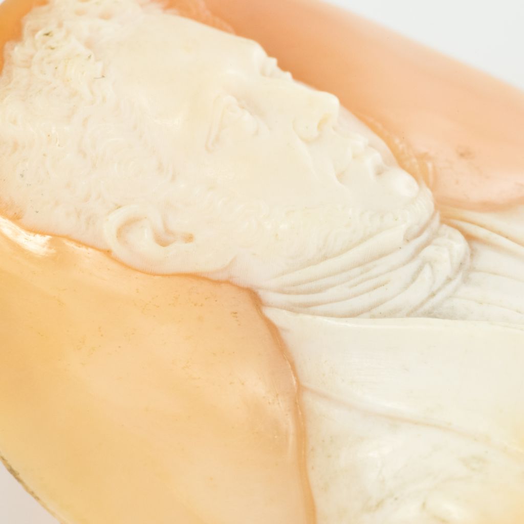 Camée ancien sur Coquille Gentilhomme - Castafiore