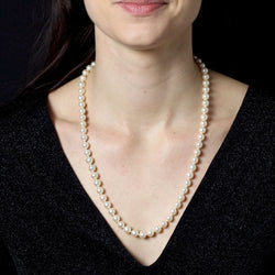 Collier CHOKER Perles de culture en or jaune - Castafiore