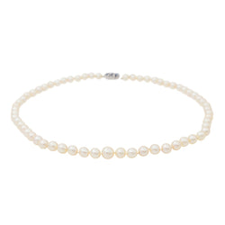 Collier Perle Or blanc Perle - Castafiore