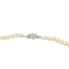 Collier Perle Or blanc Perle - Castafiore