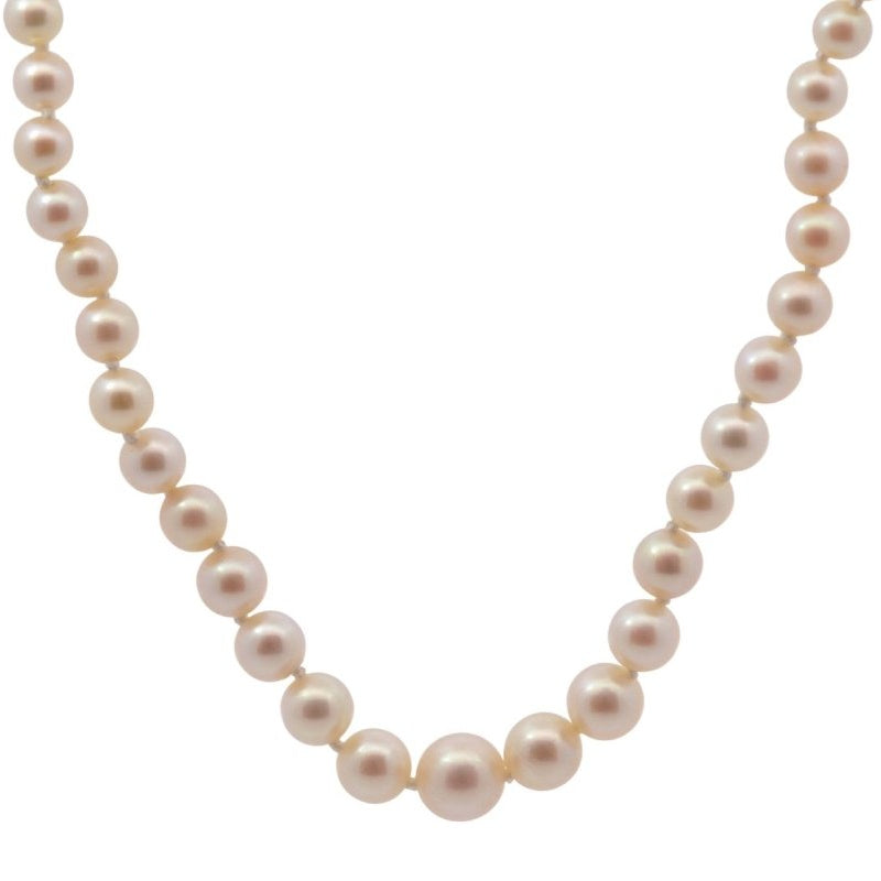 Collier perles de culture en or 18k - Castafiore