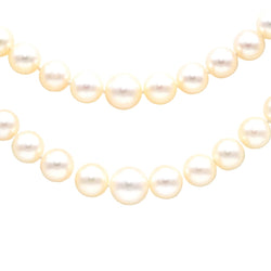 Collier Perles en or blanc et turquoise - Castafiore
