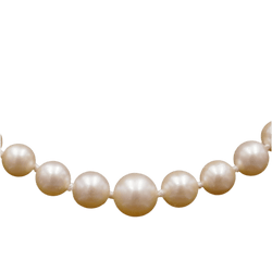 Collier Perles en or jaune - Castafiore