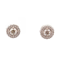 White Gold and Diamond Earrings