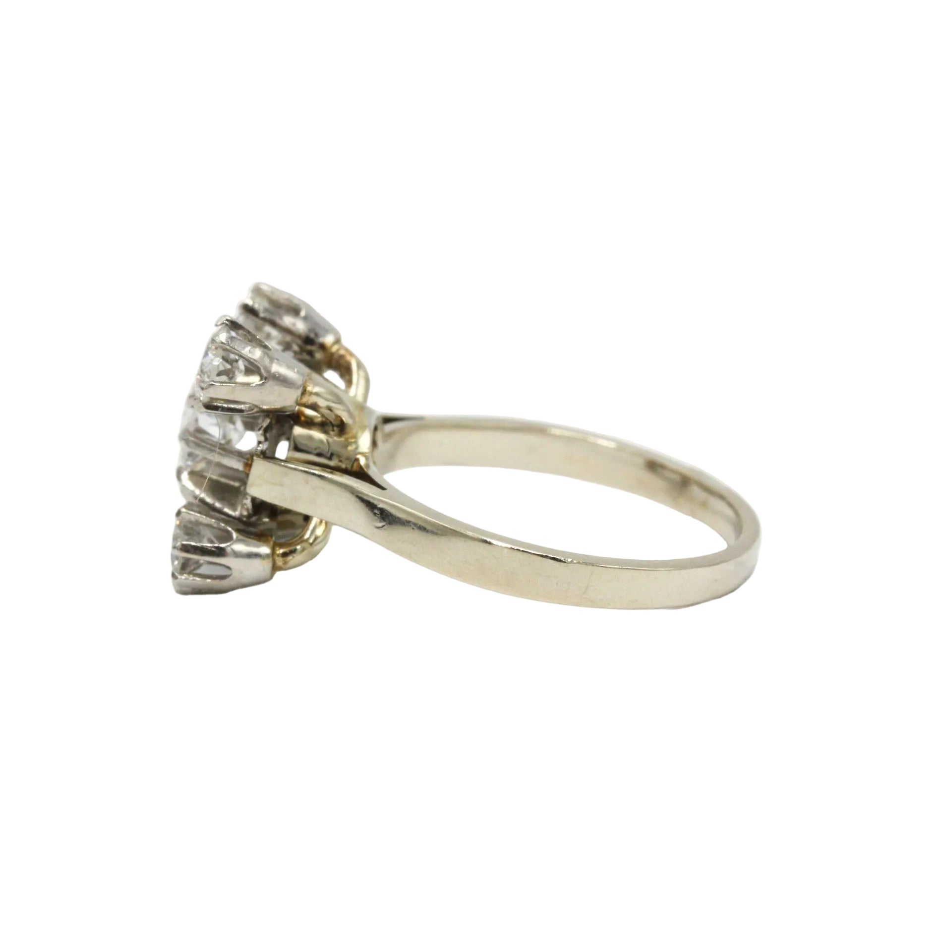 Entourage Ring in white gold, Platinum, and Diamonds